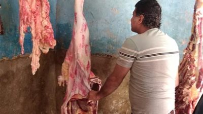 “الزراعة”: ضبط أكثر من 18 طن لحوم ودواجن وأسماك فاسدة في أسبوع (صور)