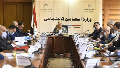 “التضامن”: صرف 66 مليون جنيه شهريًا لمستحقي النفقة من بنك ناصر