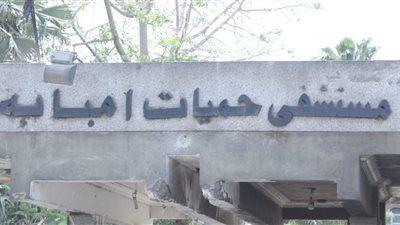 نائب حميات إمبابة: مرضى كورونا بلا أعراض أخطر.. والعزل الذاتي أفضل من المستشفى