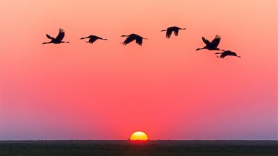 لا شعاع لشمسها.. تحري ليلة القدر في العشر الأواخر من رمضان