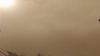 عاصفة ترابية شديدة تضرب الأقصر.. وقطع التيار الكهربائي (صور)