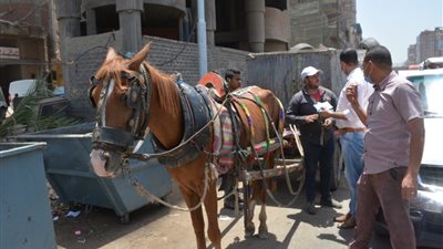 محافظ الغربية يوقع غرامة على أحد نباشين القمامة بطنطا بسبب كورونا (صور)