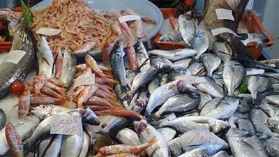 أسعار السمك اليوم الاثنين 25 مايو 2020 في الأسواق المصرية