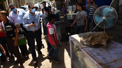 محافظة الفيوم توزع 10 آلاف كمامة قطنية على سكان المناطق المعزولة