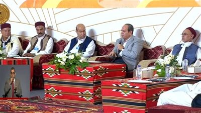 السيسي عن الأزمة الاقتصادية: الناس متأثرة بيها وأنا عارف.. ونحاول بكل ما أوتينا من قدرة التقليل من تأثيرها