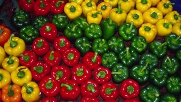 فلفل ألوان 