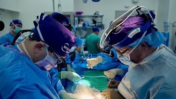 زراعة كلية خنزير