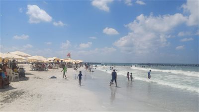 بعد غلقه 3 سنوات.. مصايف الإسكندرية: شاطئ النخيل حقق نسبة إقبال مرتفعة هذا الصيف
