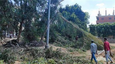 عودة الكهرباء لقرية كفر الحمادية بالمنوفية بعد انقطاعها 14 ساعة