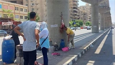إخلاء سبيل المتهمين في واقعة جزار المونوريل على ذمة القضية