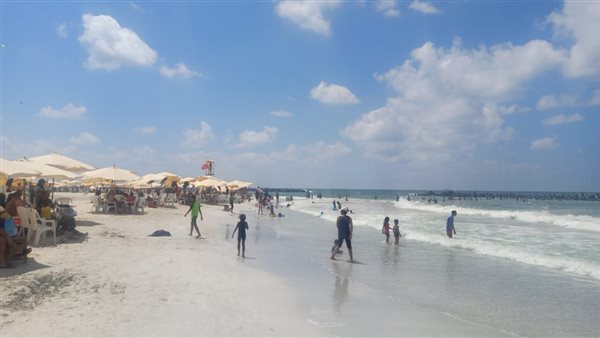 شاطئ النخيل في الإسكندرية