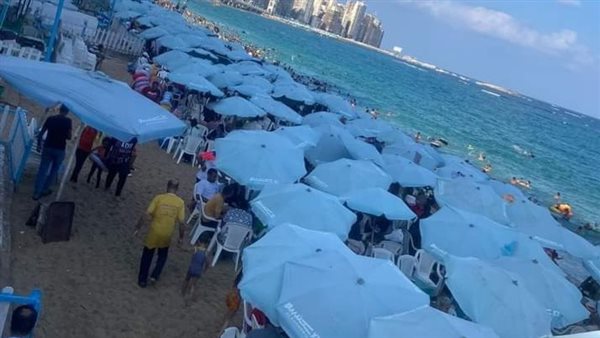 شواطئ الإسكندرية