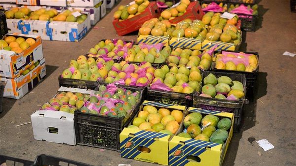 طريقة تخزين المانجو