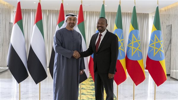 محمد بن زايد وآبي