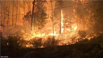 حرائق الغابات تشعل بلغاريا.. والسلطات تعلن الطوارئ بإحدى المدن