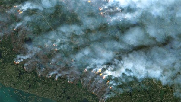 حرائق الغابات