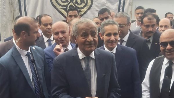  الدكتور على المصيلحى