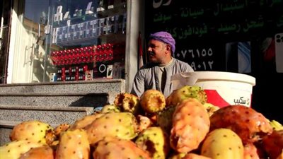  الواحدة بـ 1 جنيه.. انخفاض كبير في أسعار التين الشوكي