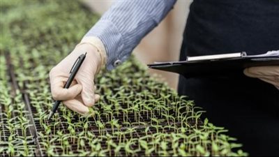 أقسام كلية زراعة 2023.. شروطها ودرجات القبول بها لطلاب علمي وأدبي