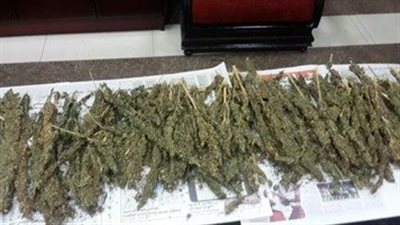 ضبط عنصر إجرامي بحوزته مخدرات بـ 2 مليون جنيه بمطروح