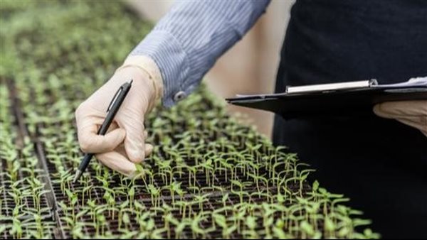 أقسام كلية زراعة