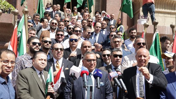  الدكتور عبد السند