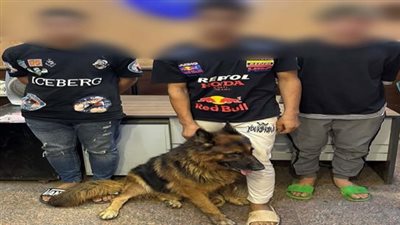 استدراج واحتجاز وعضة كلب.. القبض على المتهمين بالتعدي على شاب في المطرية 