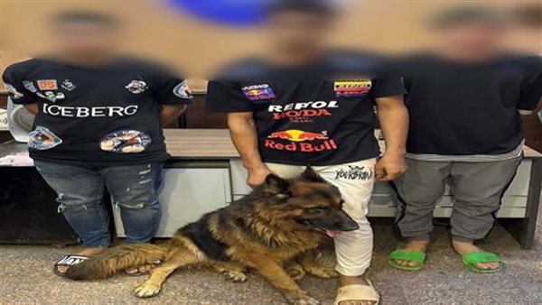 المتهمين والكلب