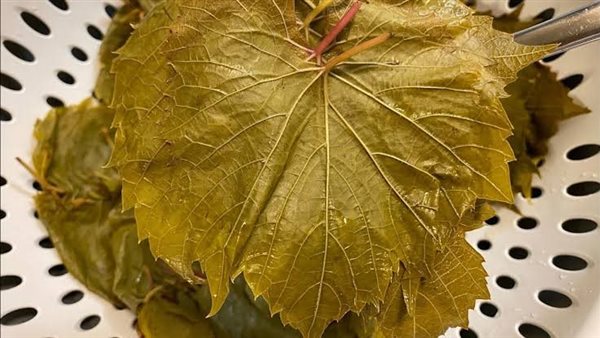 طريقة تخزين ورق العنب