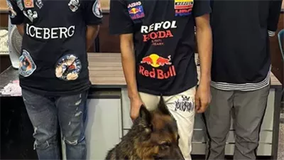 المتهمون بالاعتداء على شاب بالمطرية باستخدام كلب أمام جهات التحقيق: سرق كاسيت وسماعات من توك توك