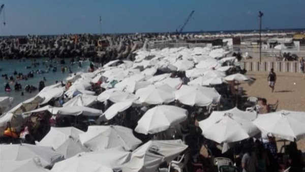 شواطئ الإسكندرية