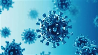 الصحة تعلن تعافي الحالتين المصابتين بالمتحور الجديد لكورونا EG5 بعد تلقيهم العلاج المنزلي | بث مباشر