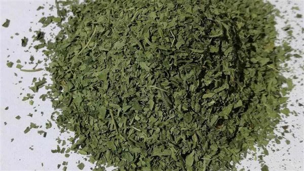 طريقة تجفيف الملوخية