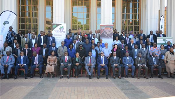 اجتماعات اللجنة التنفيذية