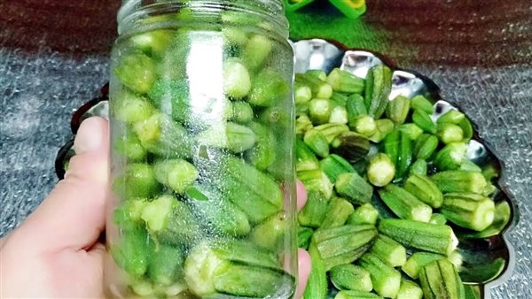 طريقة تخزين البامية
