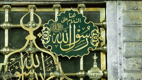 المدينة المنورة-