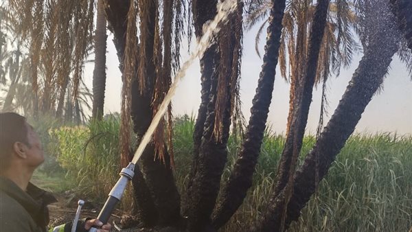 حريق بالزراعات بأسوان