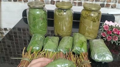 بالماء والملح.. كيفية حفظ ورق العنب في الثلاجة