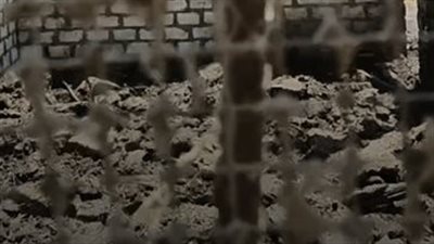 نفوق 26 رأس ماشية وأغنام في حريق 3 مزارع بالأقصر