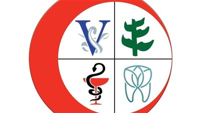 صرف 465 مليون جنيه معاش لأعضاء اتحاد المهن الطبية