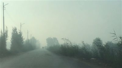 شبورة مائية على عدد من الطرق بكفر الشيخ وسط انتشار للدوريات المرورية