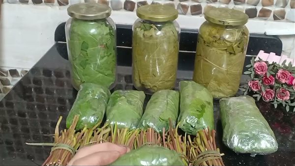 حفظ ورق العنب في