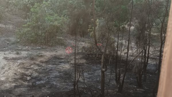 جانب من الحريق 