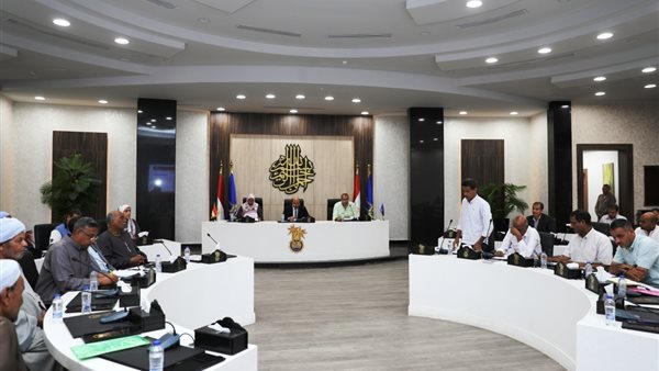 محافظ أسوان 