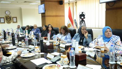 معهد التخطيط القومي يبحث سبل الحد من مسببات ارتفاع نسب وفيات الأمهات