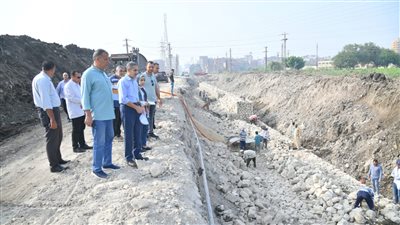 محافظ الغربية يتابع أعمال التطوير بكفر الزيات وبسيون