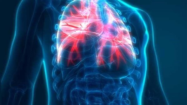 ملاض الفيالقة 