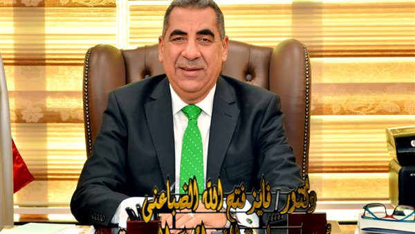 رئيس مصلحة الضرائب