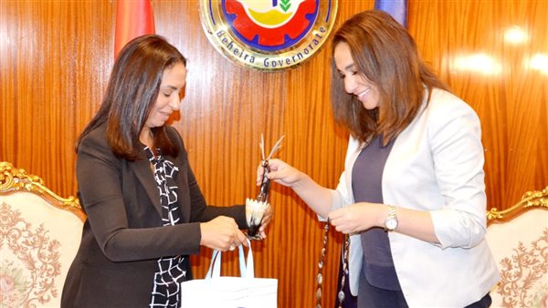 نائب محافظ البحيرة