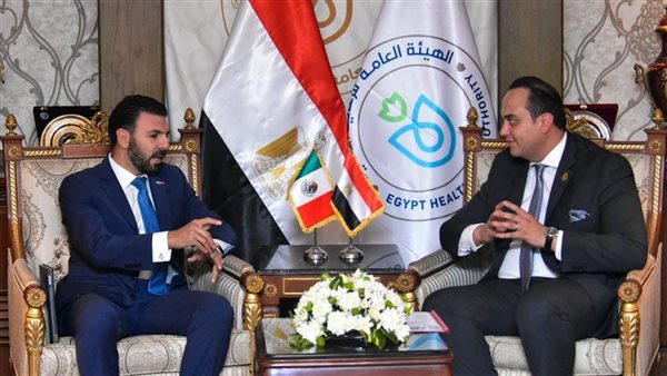 السبكي وهيكتور